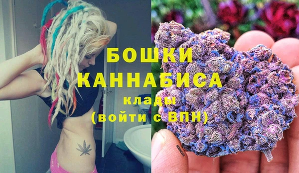 спайс Инта