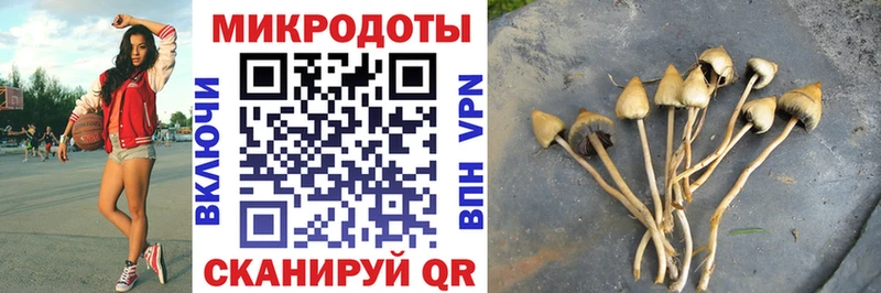 kraken ONION  Куртамыш  Галлюциногенные грибы Cubensis 